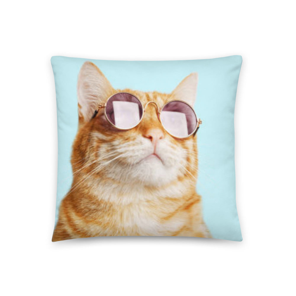 cat pillow, cat pillow bed, cat pillow cases, cat pillow with picture, pillow cat breed, pillow with cat, pillow with cat picture, cat with sunglasses