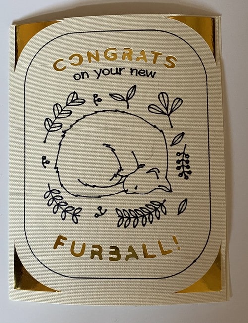 Congrats, New Furball 