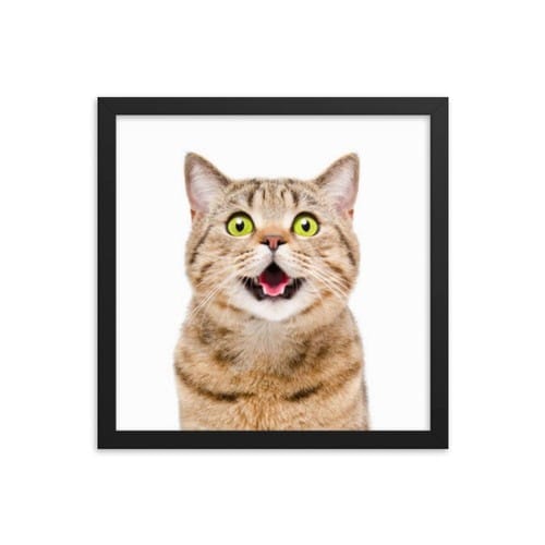 cat framed poster, cat in box, cat poster, cat poster art, cat posters, cat wall art, cat wall art framed, framed cat pictures, framed cat poster, framed cat prints