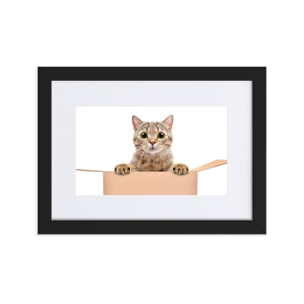 cat framed poster, cat in box, cat poster, cat poster art, cat posters, cat wall art, cat wall art framed, framed cat pictures, framed cat poster, framed cat prints, schrödinger's cat meme